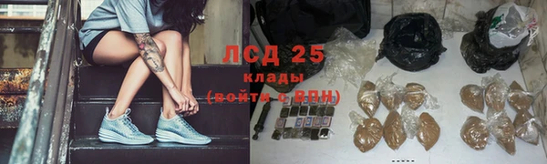 ПСИЛОЦИБИНОВЫЕ ГРИБЫ Волосово